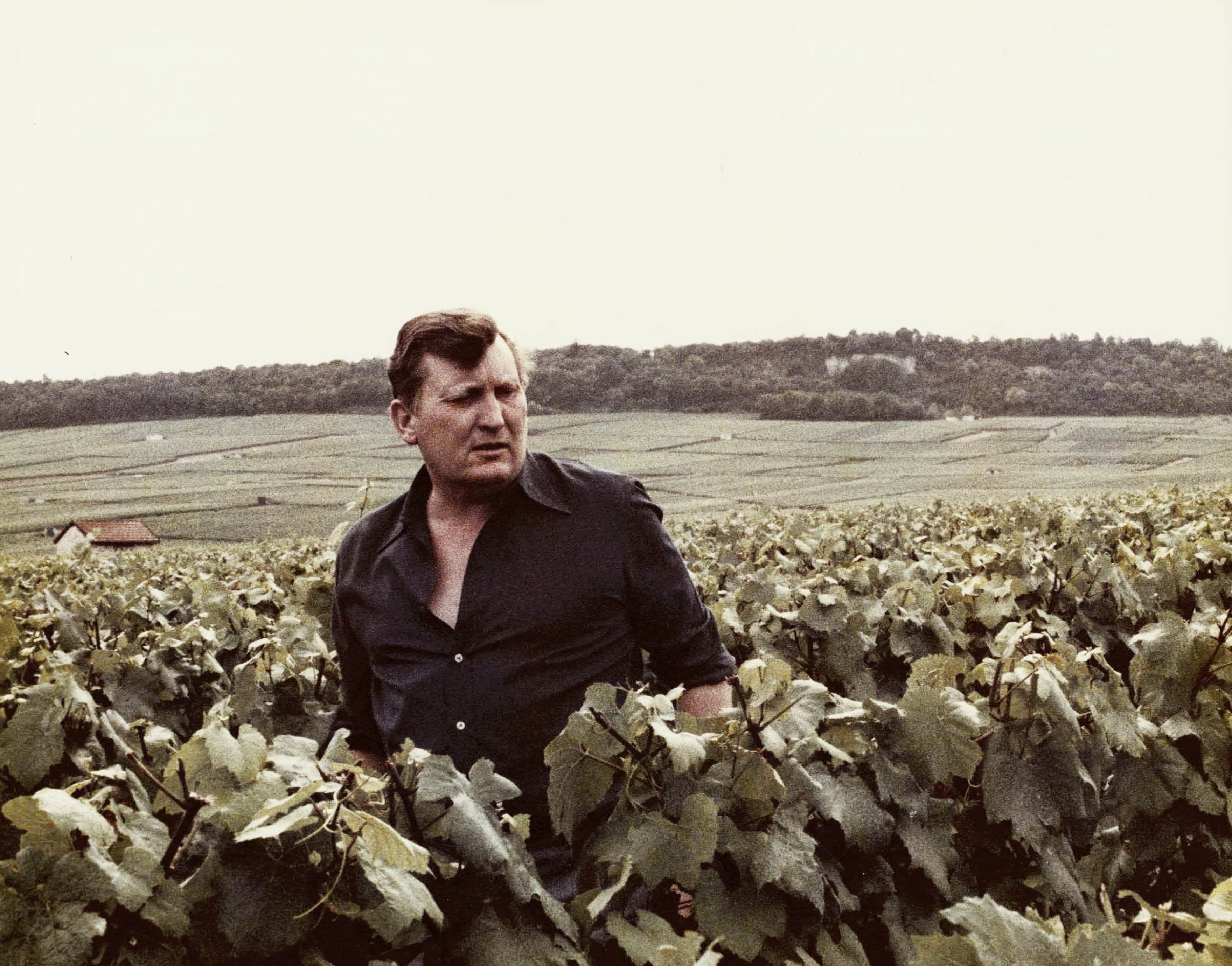 Guy Larmandier, dans les vignes de Cramant